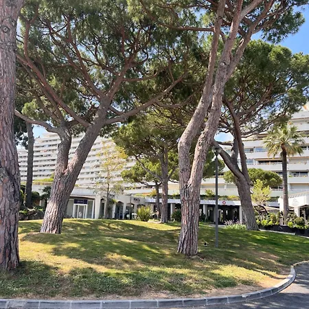 La Studette Marina 06 Διαμέρισμα *